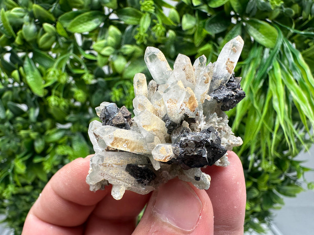 Wonderful Sphalerite Chalcopyrite on Green Quartz whit Hematite feom 9 th September mine,Bulgaria,natural,collection mineral specimen,gift