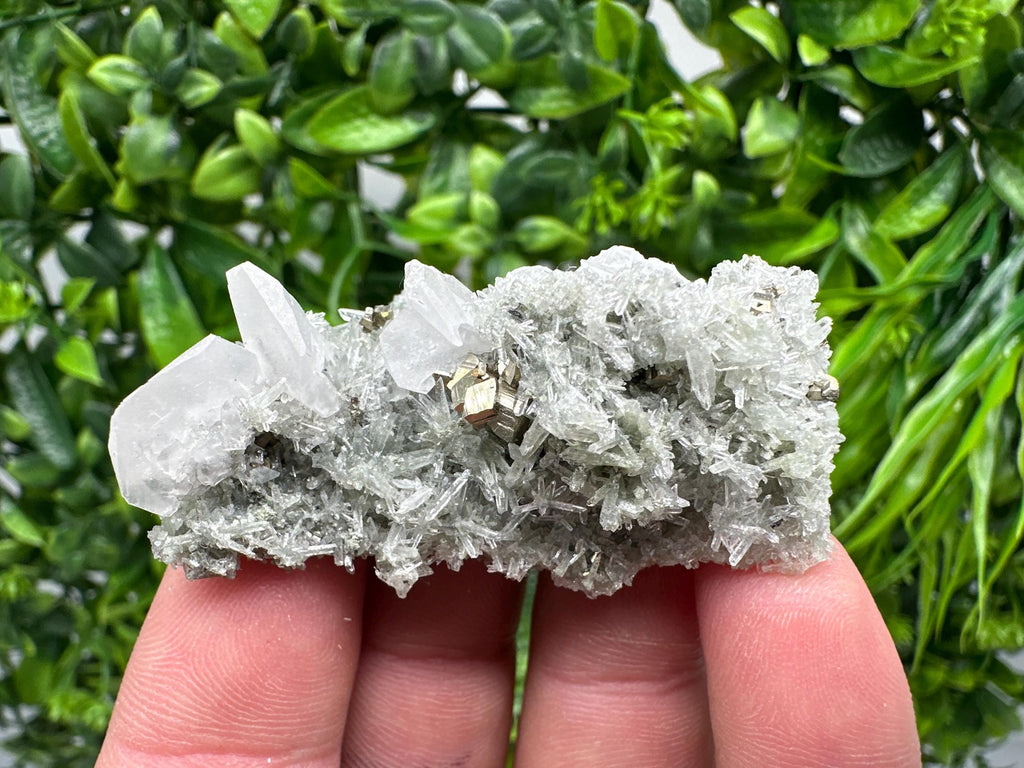 Pyrite on Green Quartz Mineral Specimen, Borieva Mine