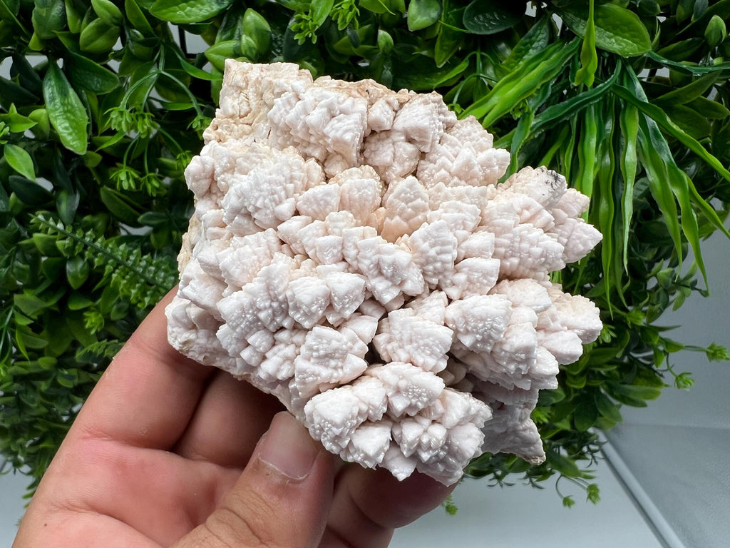 Pink Manganocalcite Mineral Specimen, Krushev Dol Mine