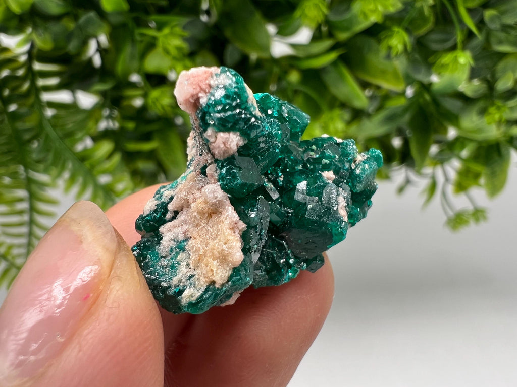 Stunning Green Dioptase from Sanda Hills,Mindouli,Pool Department,Mindouli District,Congo,green Dioptase,Dioptas Crystal,Dioptase collecting