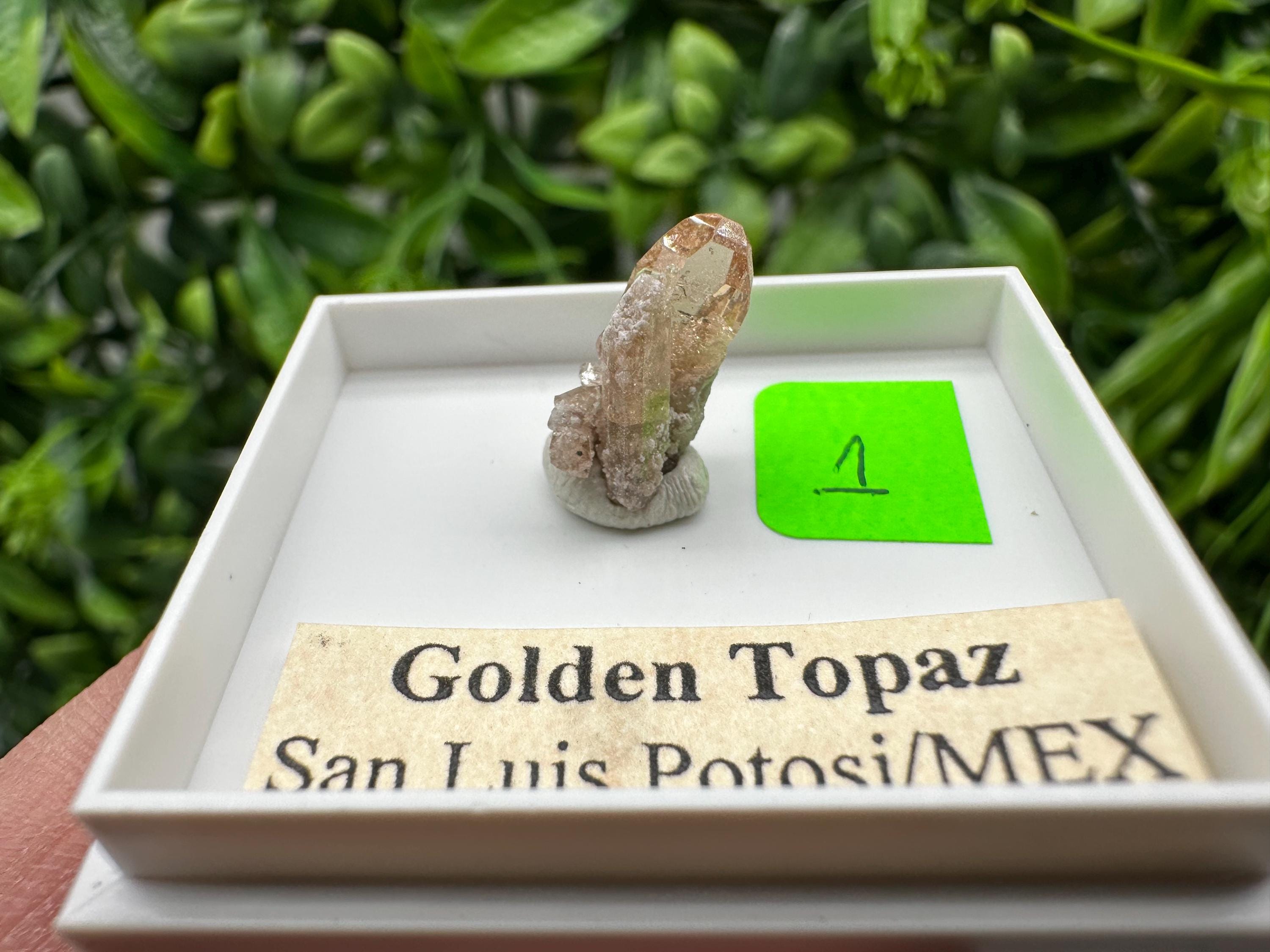 Golden Topaz Crystal, Mineral Specimen from Mexico