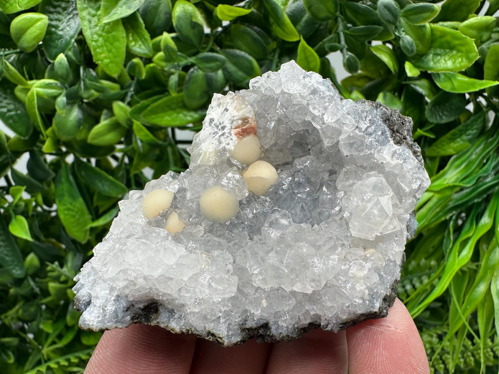 Transparent Apophyllite on Chalcedony, India Mineral Specimen