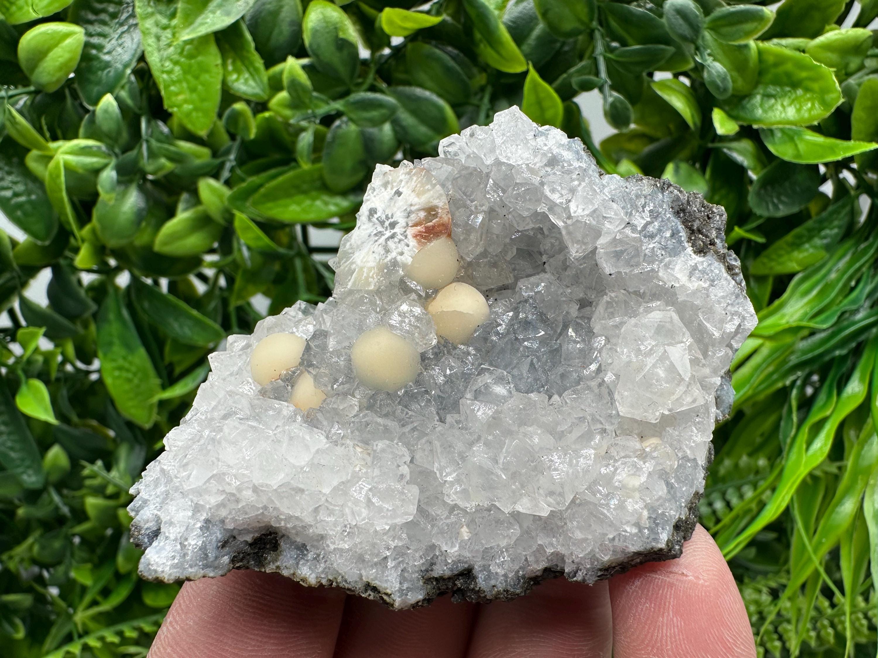 Transparent Apophyllite on Chalcedony, India Mineral Specimen