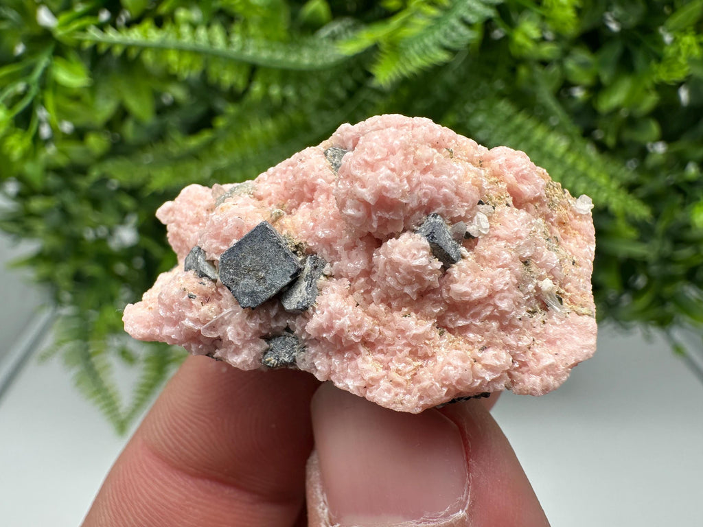 Rhodochrosite on Quartz: Pink Crystal Home Decor, Bulgaria Mineral Souvenir