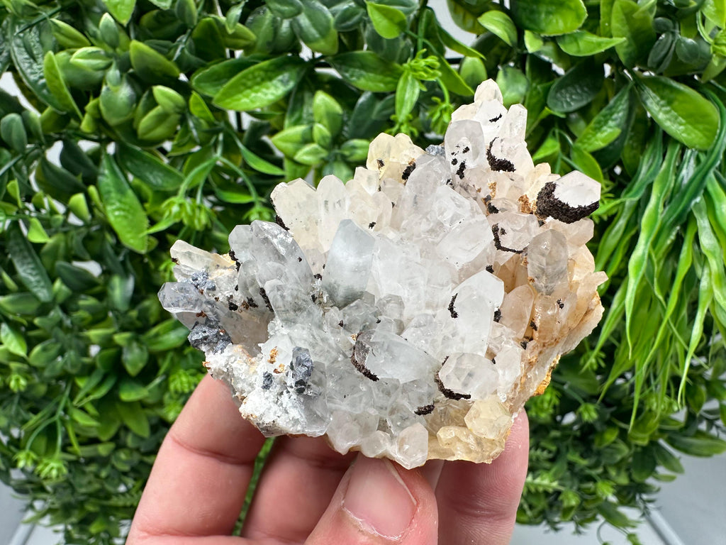 Transparent Quartz whit Siderite 9th September mine Bulgaria natural minerals souvenir crystal stone gift minerals collection rock