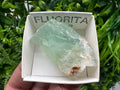 Rare Rainbow Fluorite Cube: Raw Mexican Crystal, Meditation Stone