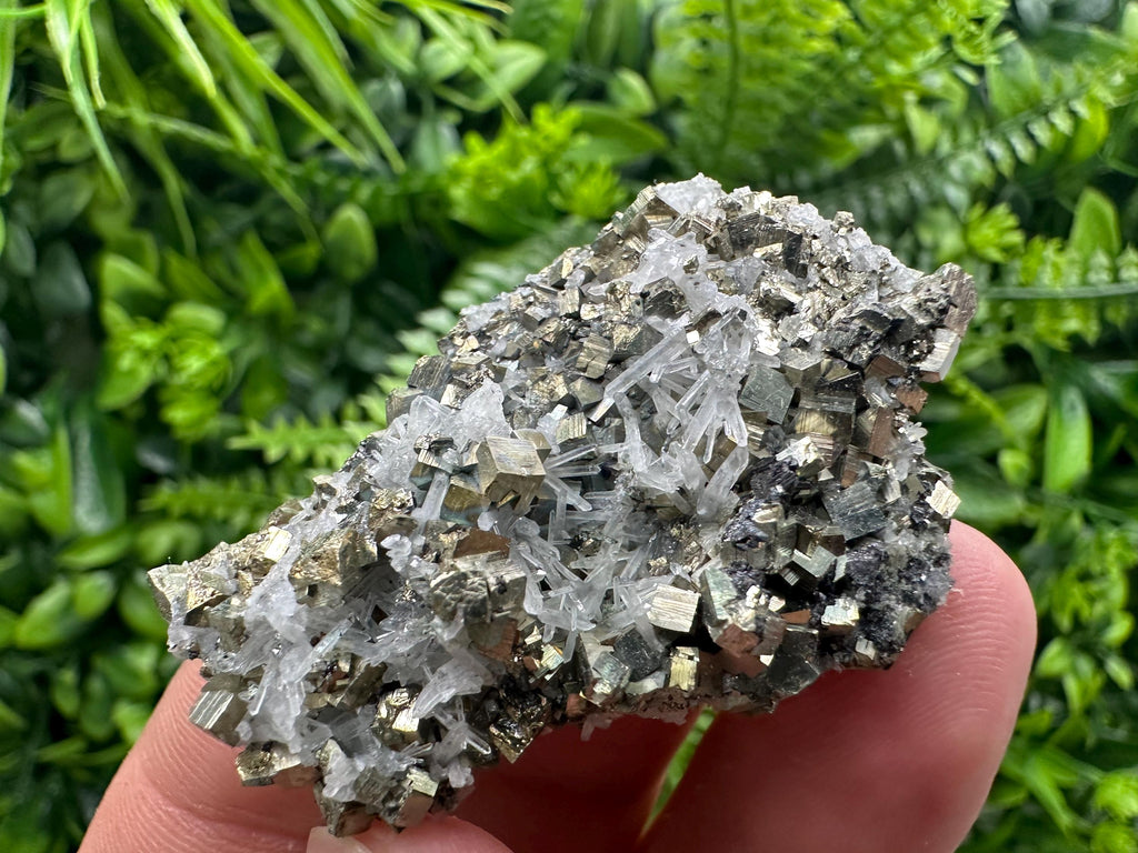 Quartz with Pyrite Specimen: Borieva Mine Crystal Decor (5/3.5 cm)