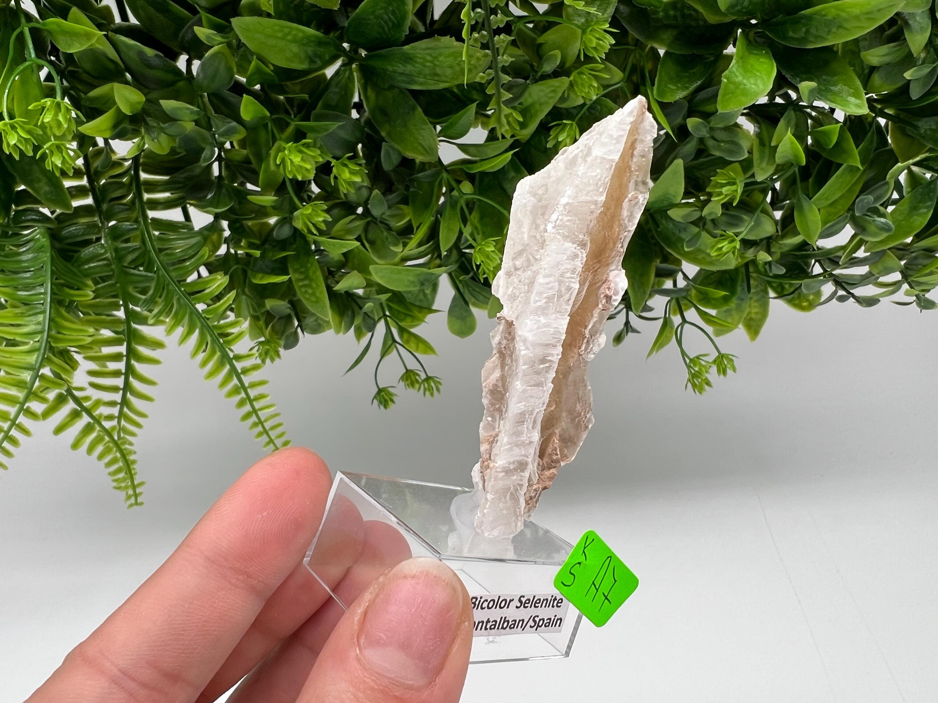 Golden Phantom Selenite Slab: Utah Raw Crystal Wand (3/7.5cm