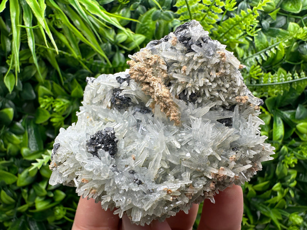 Sphalerite on Green Quartz, Bulgaria Mineral Specimen, Home Decor Stone