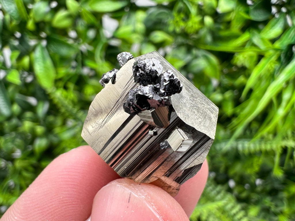 Rare Borieva Mine Pyrite Cluster, Rainbow Crystallization Specimen