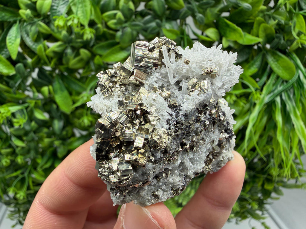 Pyrite Sphalerite Quartz  Mineral Specimen, Krushev dol Mine