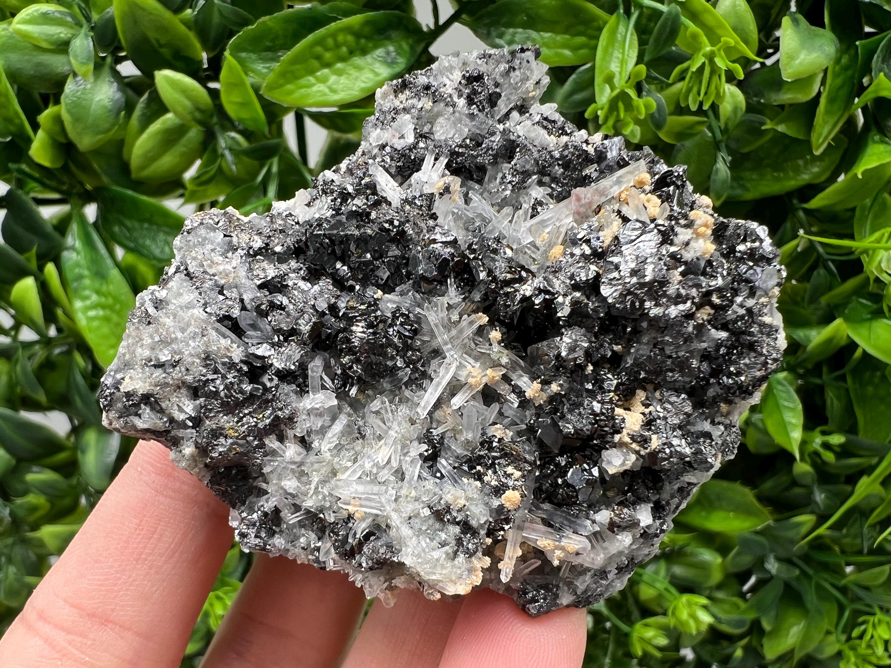 Galena Cluster with Siderite and Quartz, 9th September Mine, Bulgaria