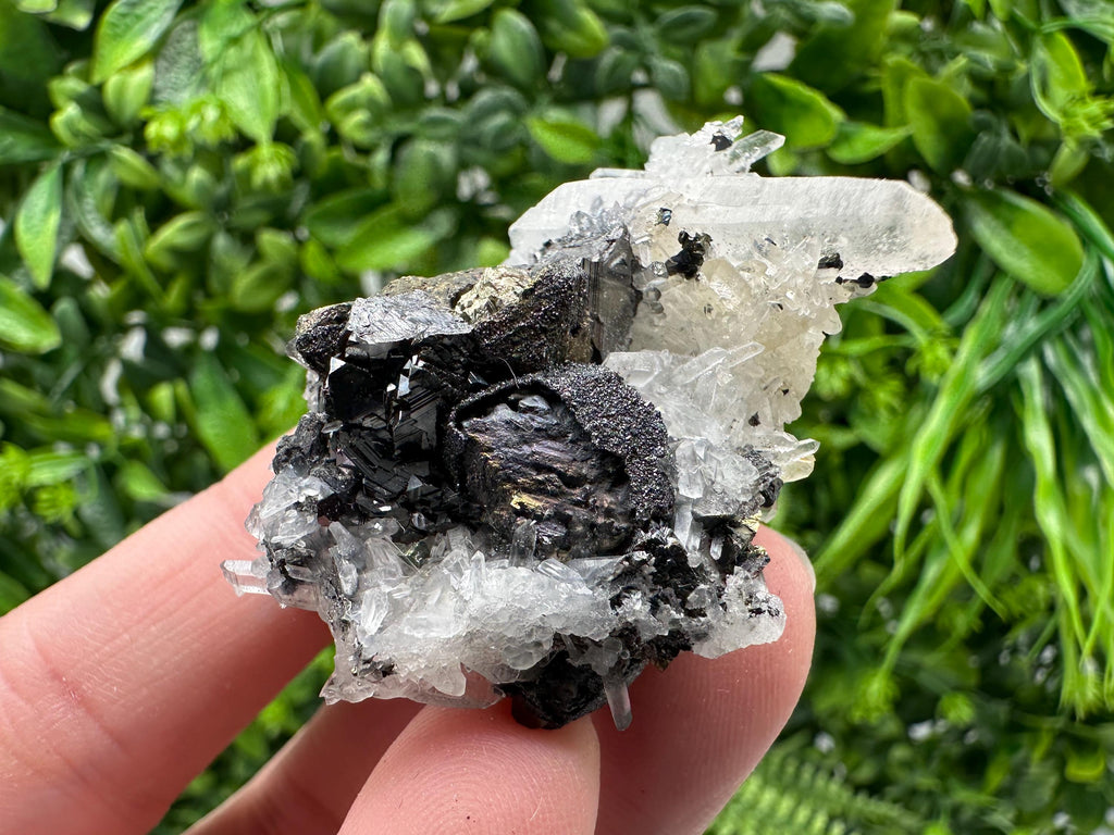 Wonderful Sphalerite Chalcopyrite on  Quartz whit Galena feom 9 th September mine,Bulgaria,natural,collection mineral specimen,gift