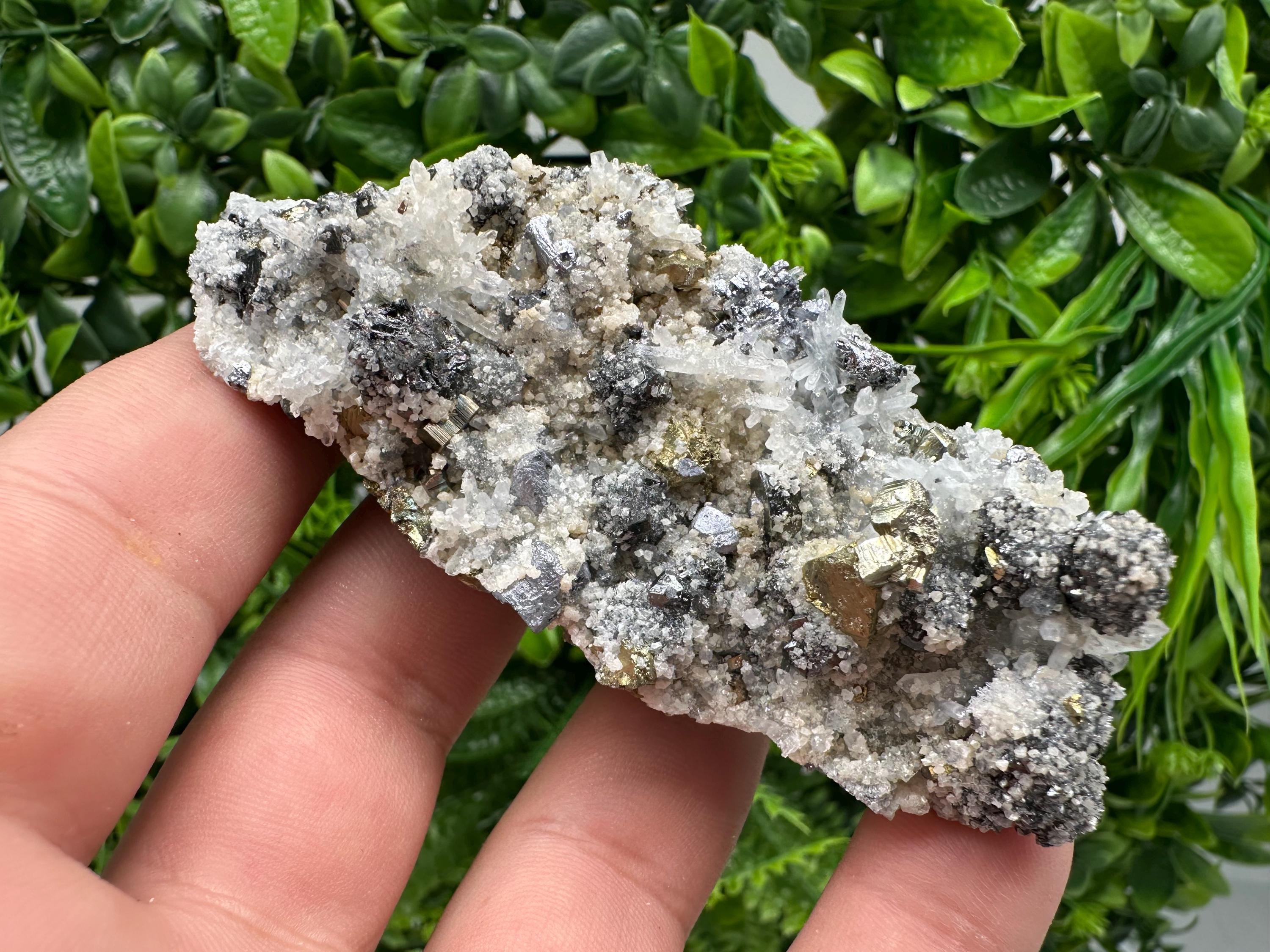 Chalcopyrite Galena on Quartz with Chlorite, Borieva Mine