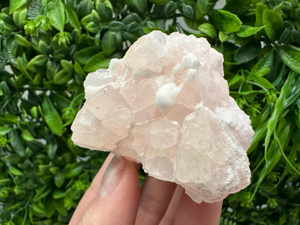 Mangano Calcite with Galena, Borieva Mine, Bulgaria