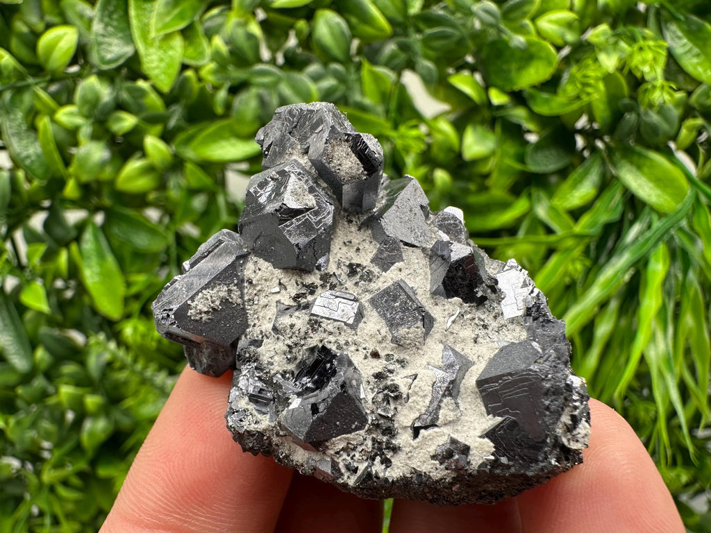 Stunning Shpinel Galena on Sphalerite from Borieva mine,Madan,Bulgaria,Natural,collectible mineral specimen,home decor,collectible’s crystal