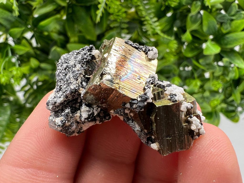 Mini Rainbow Pyrite Cluster: Borieva Mine, Bulgaria