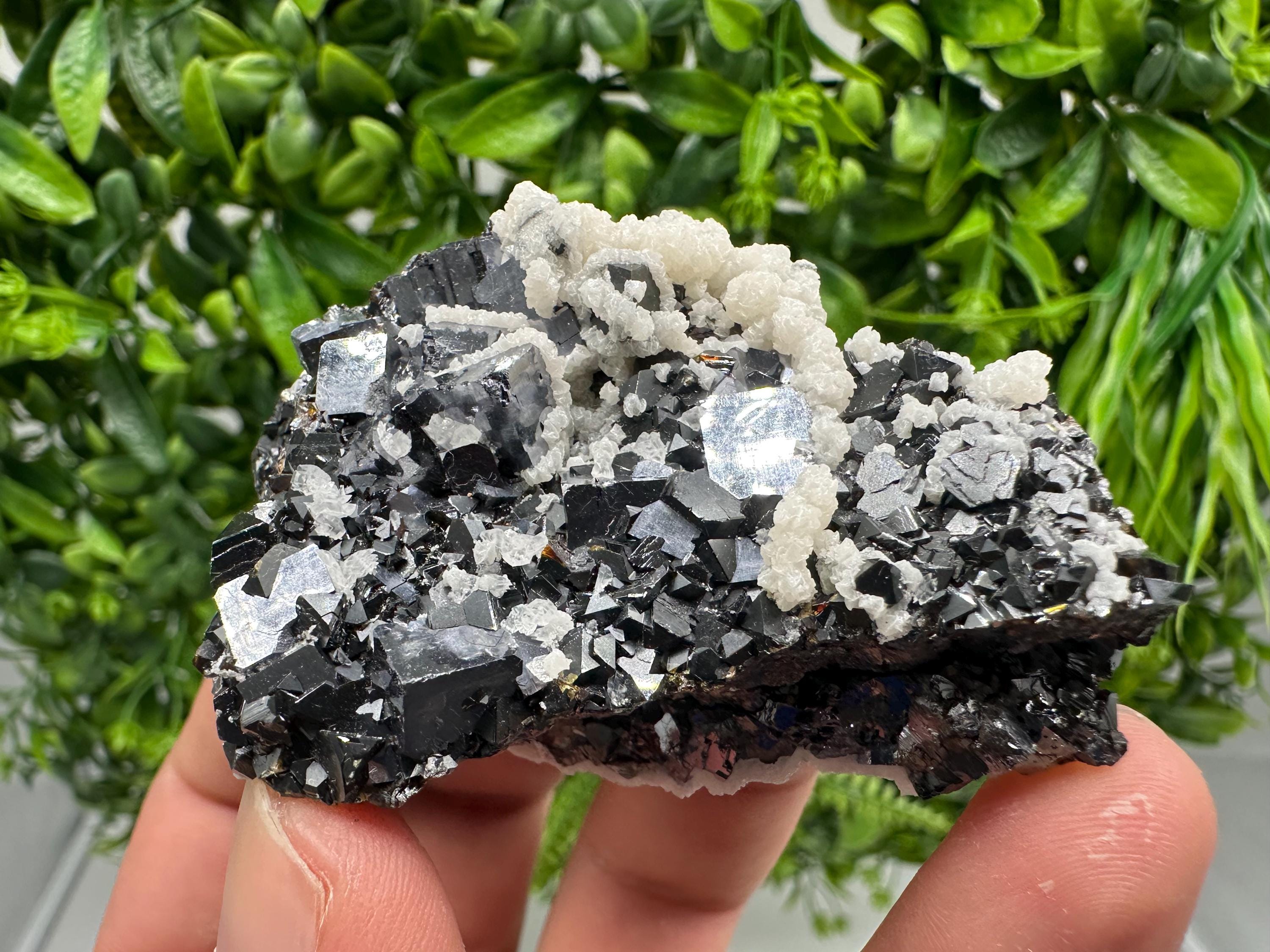 Collected Skeletal GALENA whit Sphalerite from Krushev dol mine,Madan,Bulgaria,natural,collectible mineral specimen home decor stone,gift
