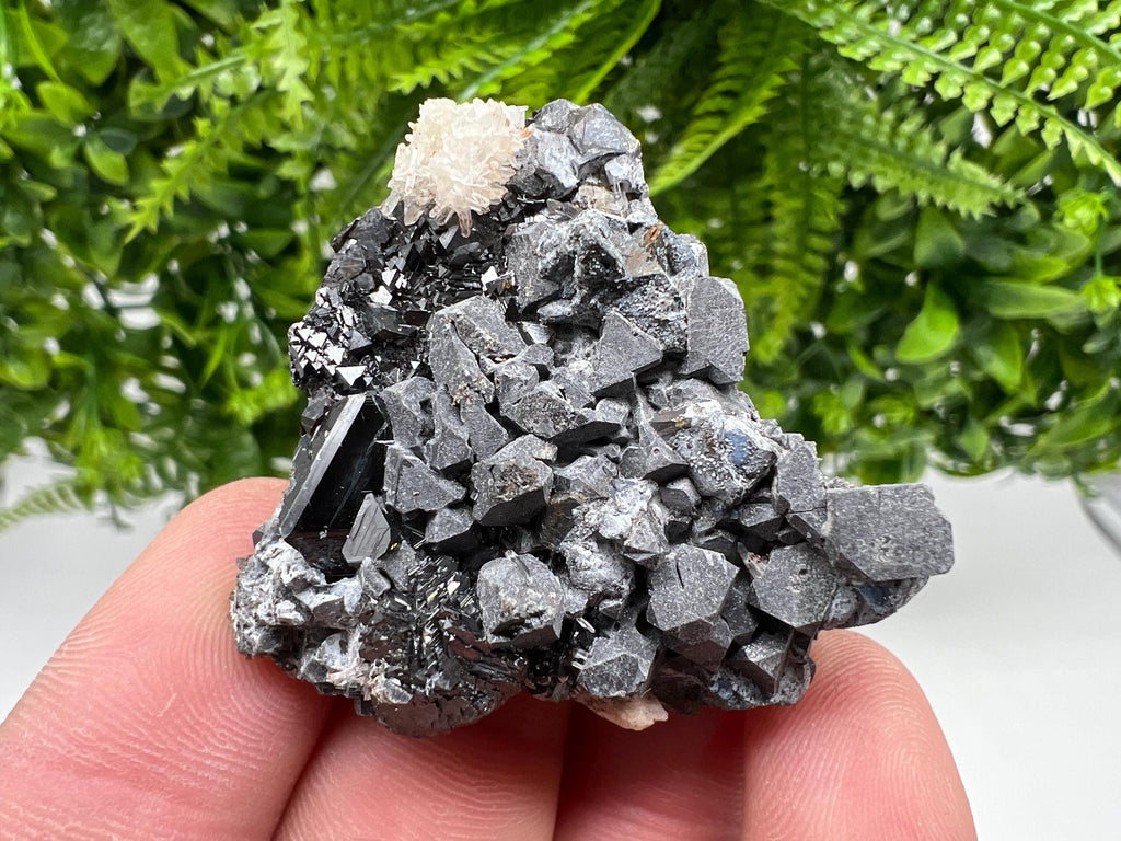Shiny Galena Cluster with Siderite and Quartz, Bulgaria Mineral Specimen