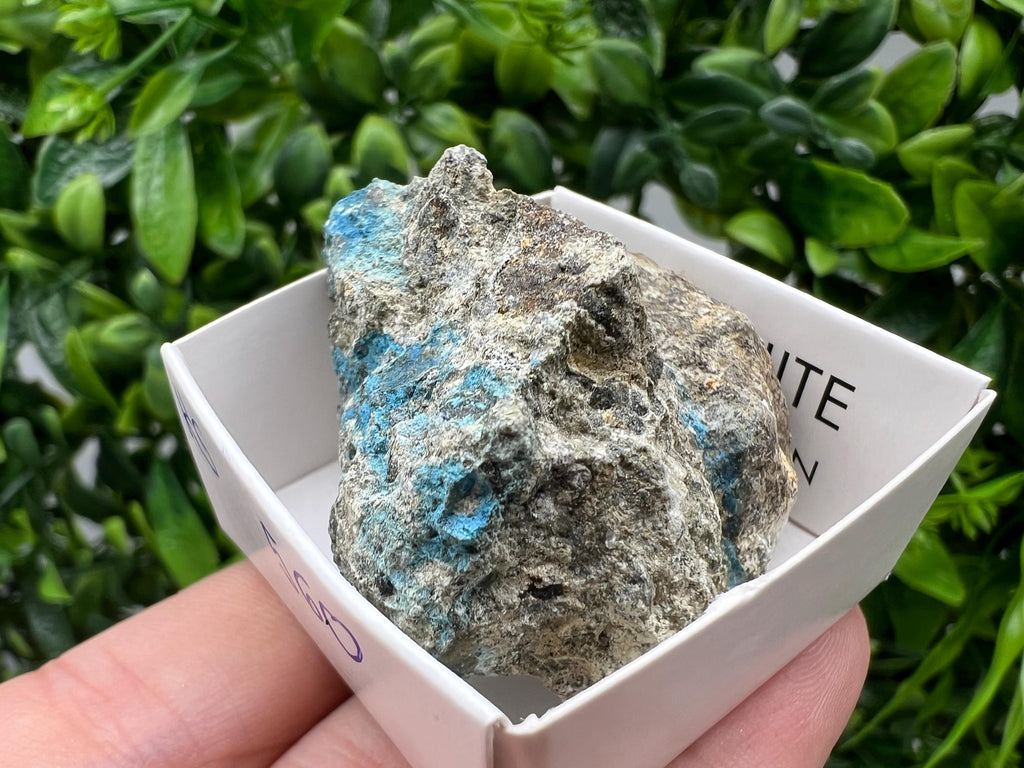 Rare Raw Aerinite Mineral Specimen: Collection Crystal from Lleida, Spain (4.5/4 CM)