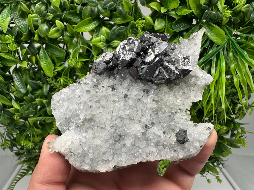 Galena on Quartz Specimen, Cleiophane Mineral, Krushev dol Mine, Bulgaria
