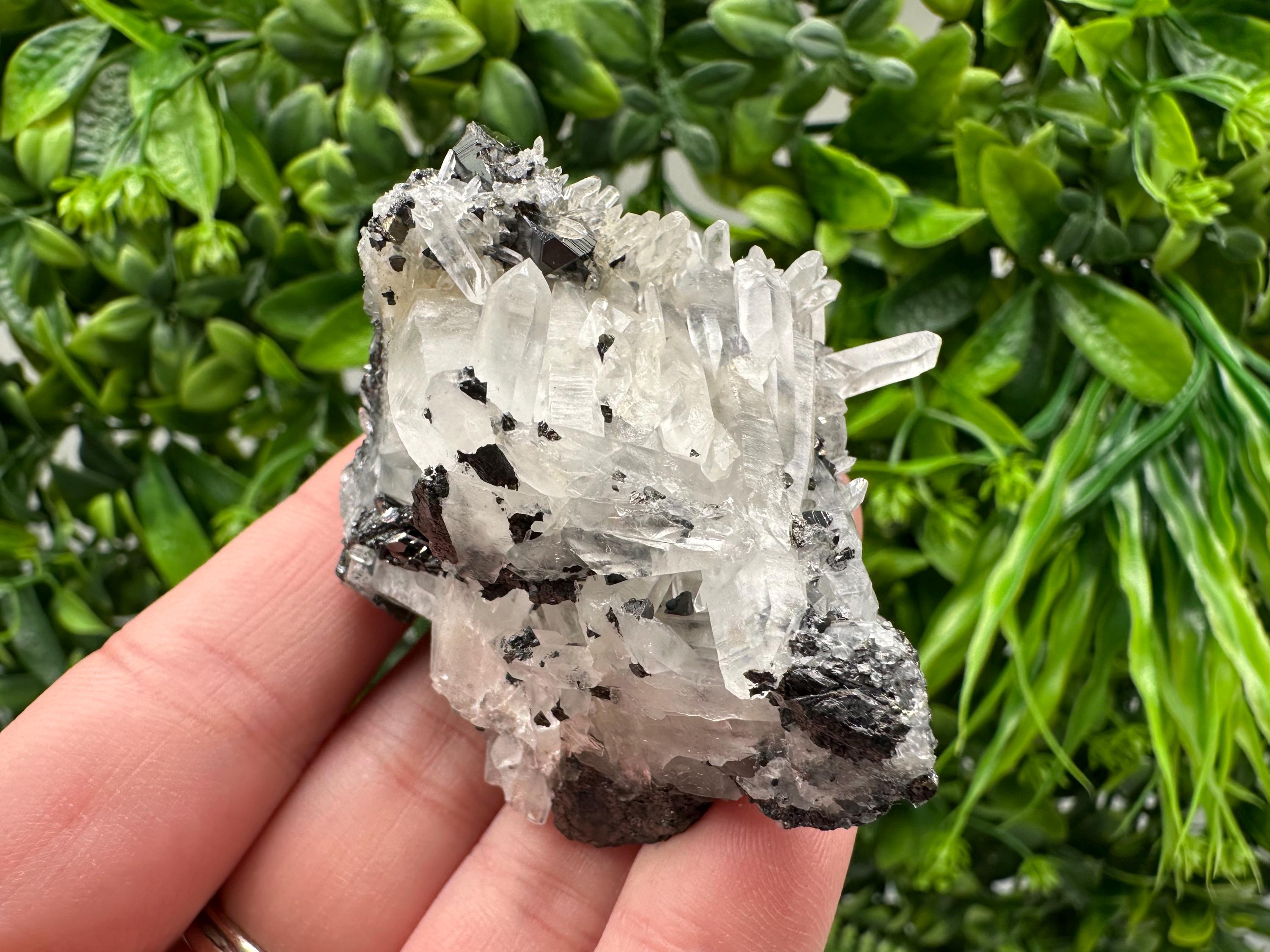 Wonderful Sphalerite Chalcopyrite on  Quartz whit Galena feom 9 th September mine,Bulgaria,natural,collection mineral specimen,gift