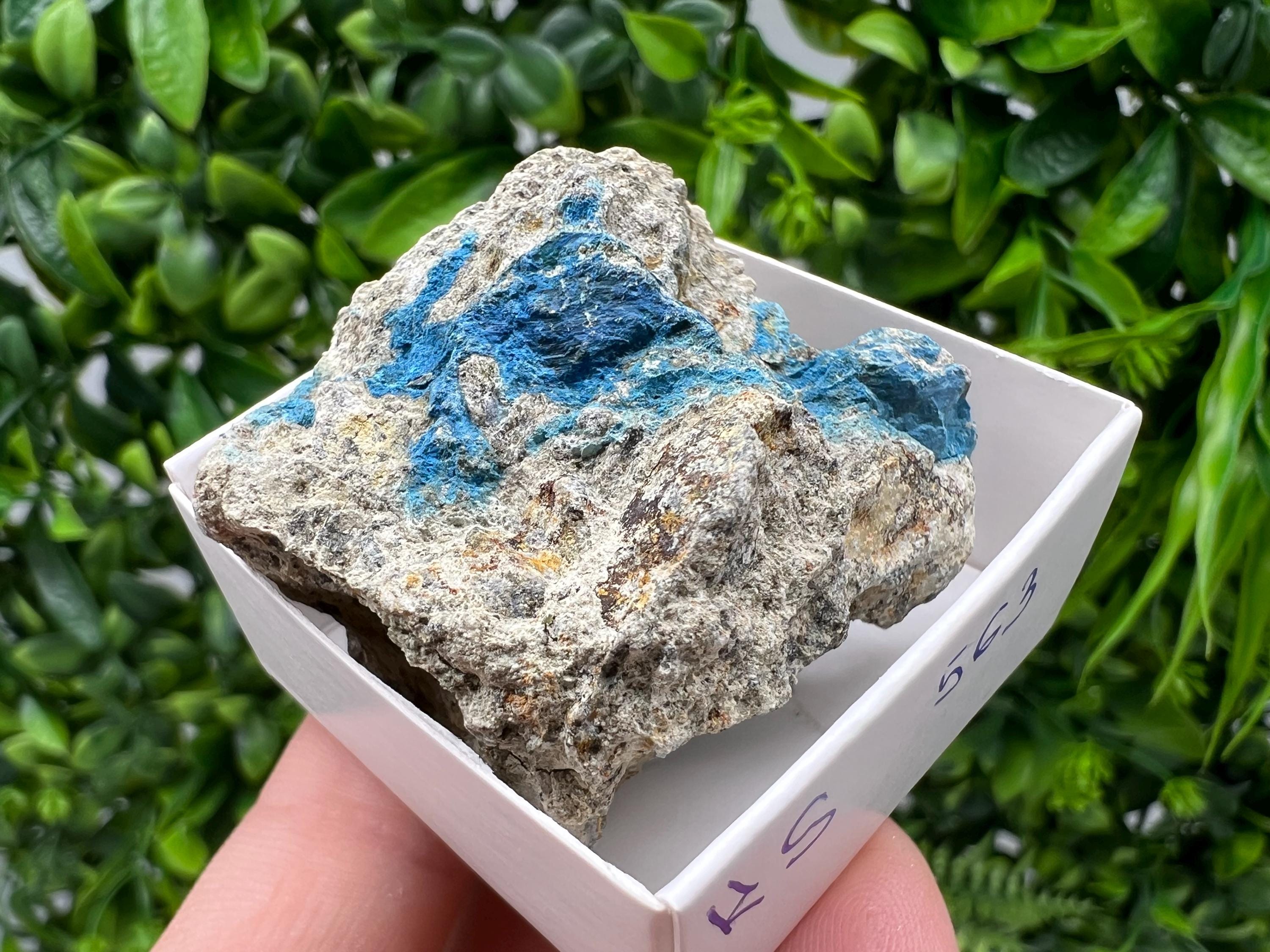 Rare Raw Aerinite Mineral Specimen: Collection Crystal from Lleida, Spain (4/3.5 CM)