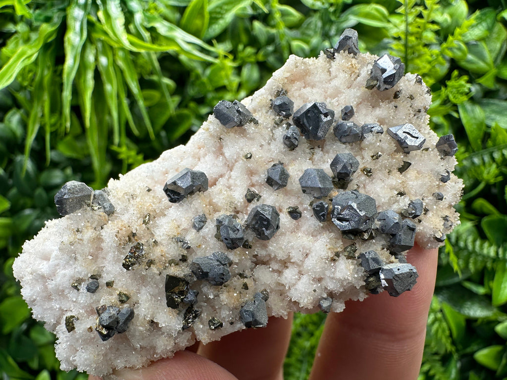 Galena with Chalcopyrite on Mangano Calcite: Natural Mineral Crystal Decor