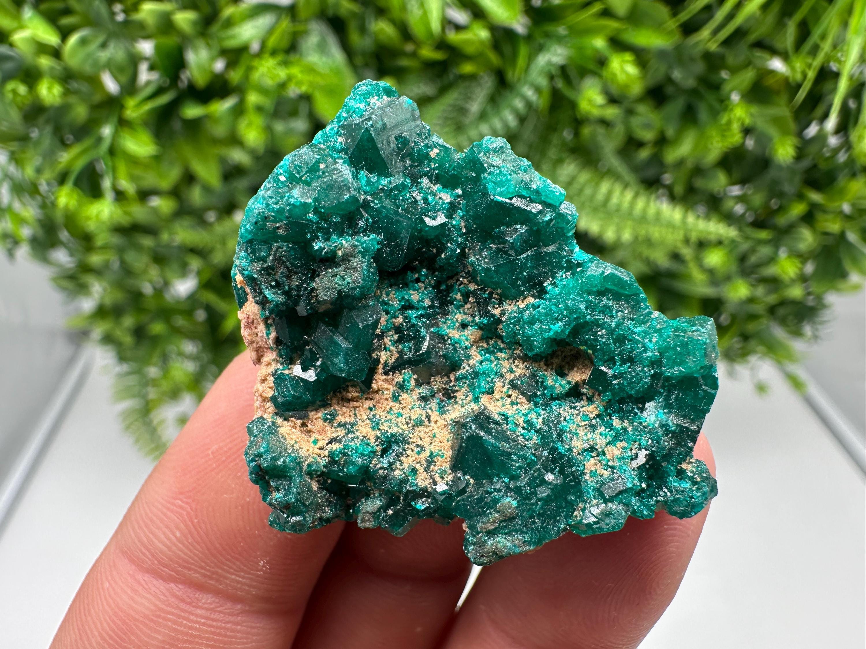 Stunning Green Dioptase from Sanda Hills,Mindouli,Pool Department,Mindouli District,Congo,green Dioptase,Dioptas Crystal,Dioptase collecting