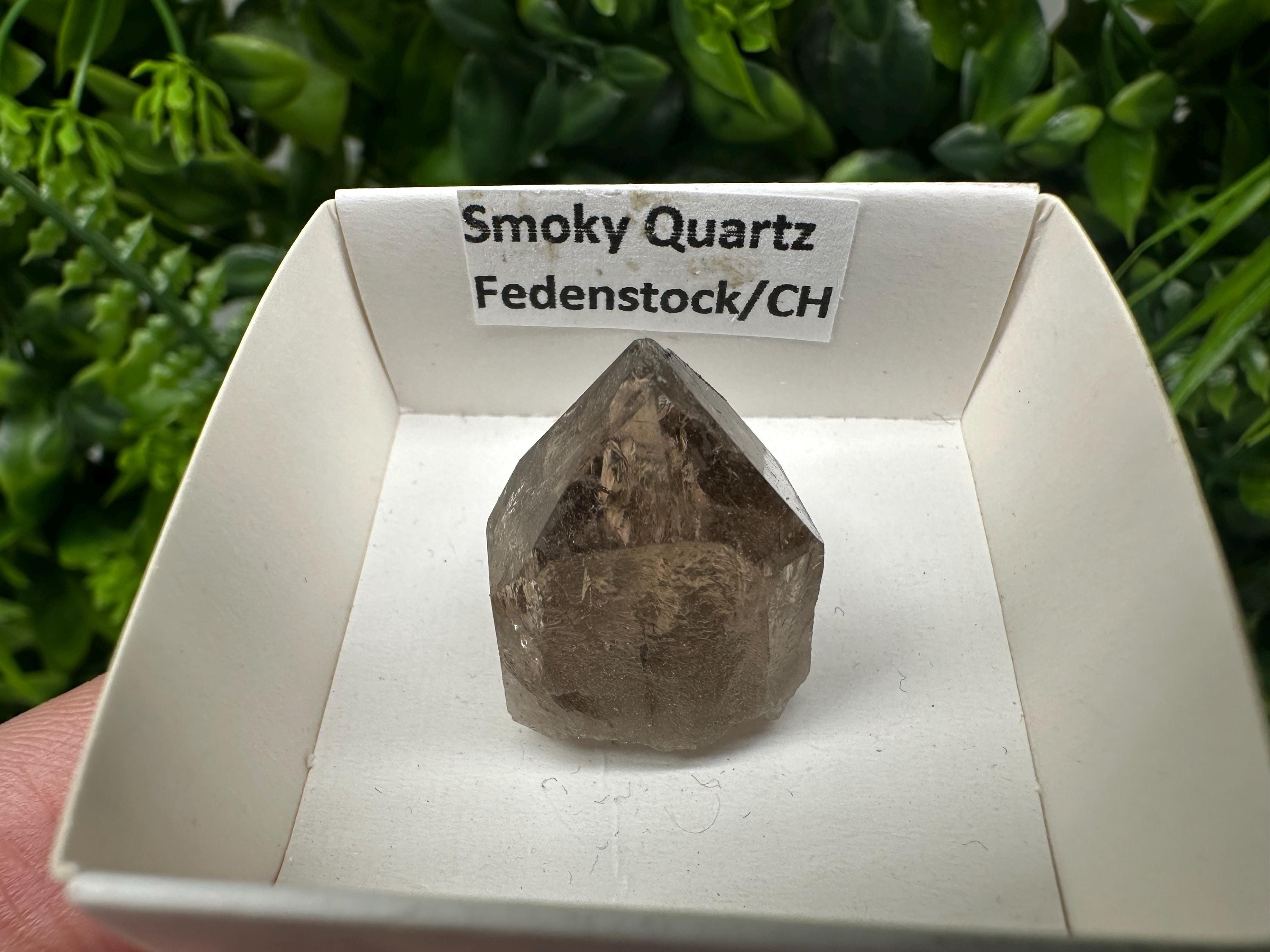Rare Fedenstock Smoky Quartz, Swiss Mineral Specimen (20/20MM)