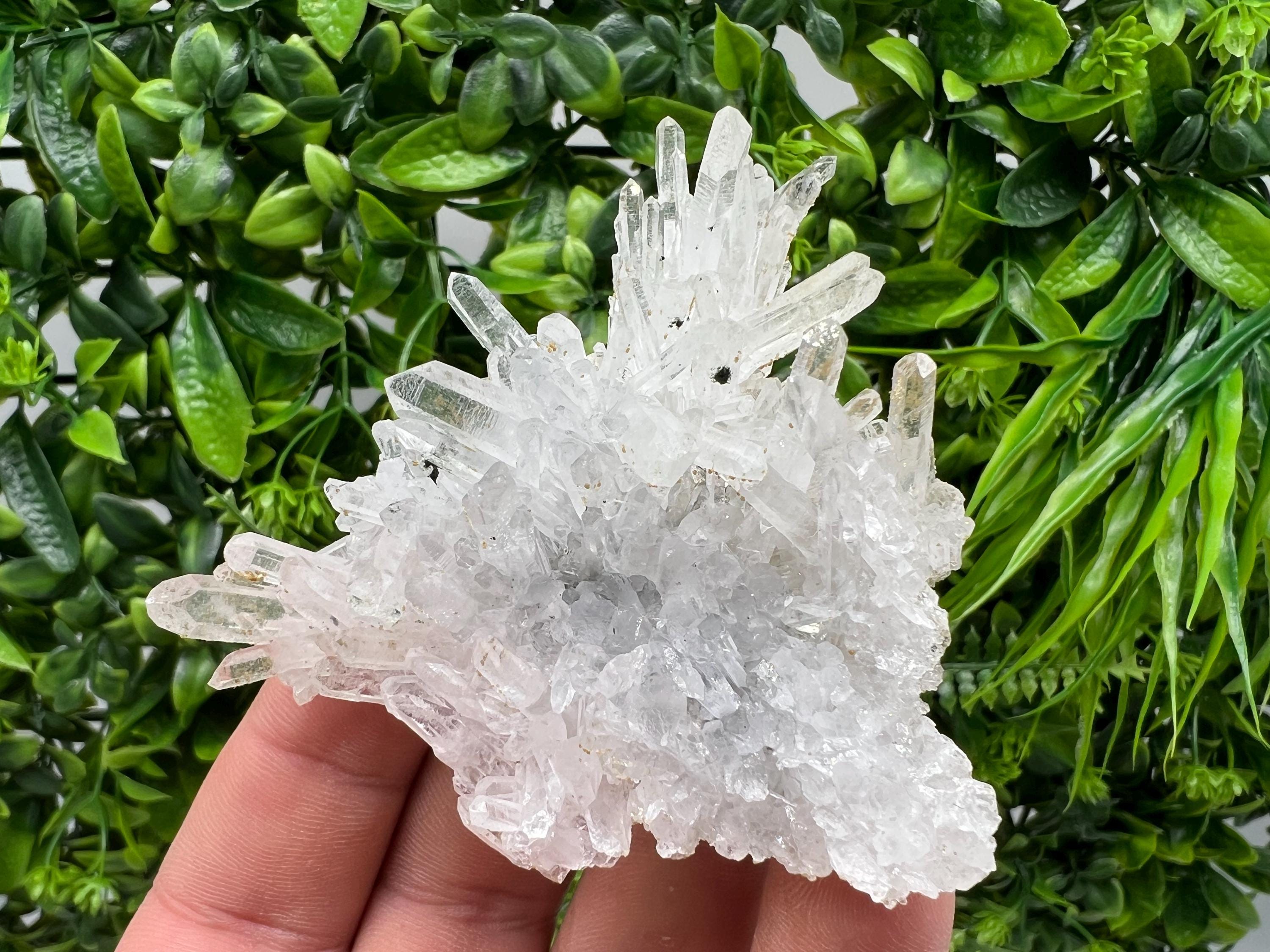 Transparent Quartz on Chlorite Matrix, Bulgaria Mineral Specimen
