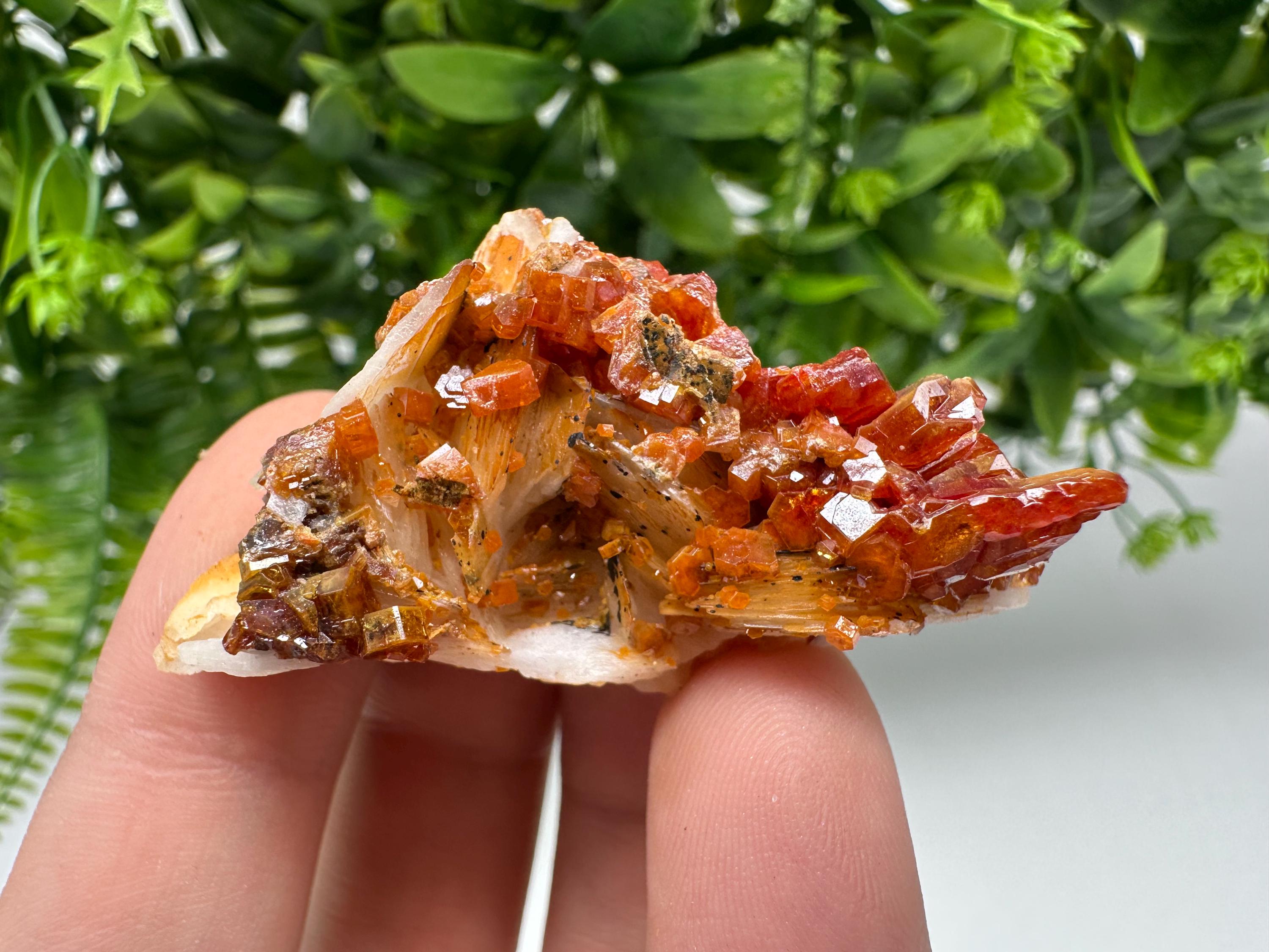 Red Vanadinite on Barite from Marocco,crystal minerals Speciment cluster Vanadinite crystal Vanadinite Geology Vanadinite cluster minerals
