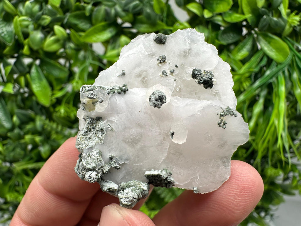 UV Mangano Calcite: Borieva Mine, Bulgaria Crystal Decor