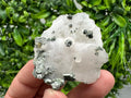 UV Mangano Calcite: Borieva Mine, Bulgaria Crystal Decor