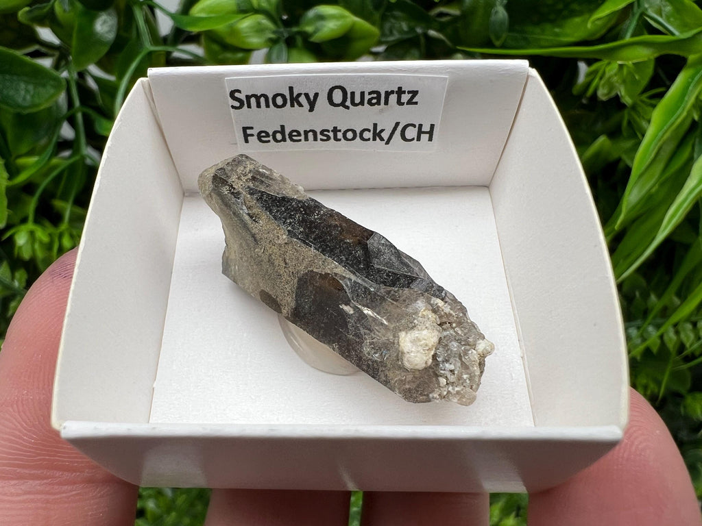 Rare Fedenstock Smoky Quartz Point, Swiss Mineral Specimen (40mm)