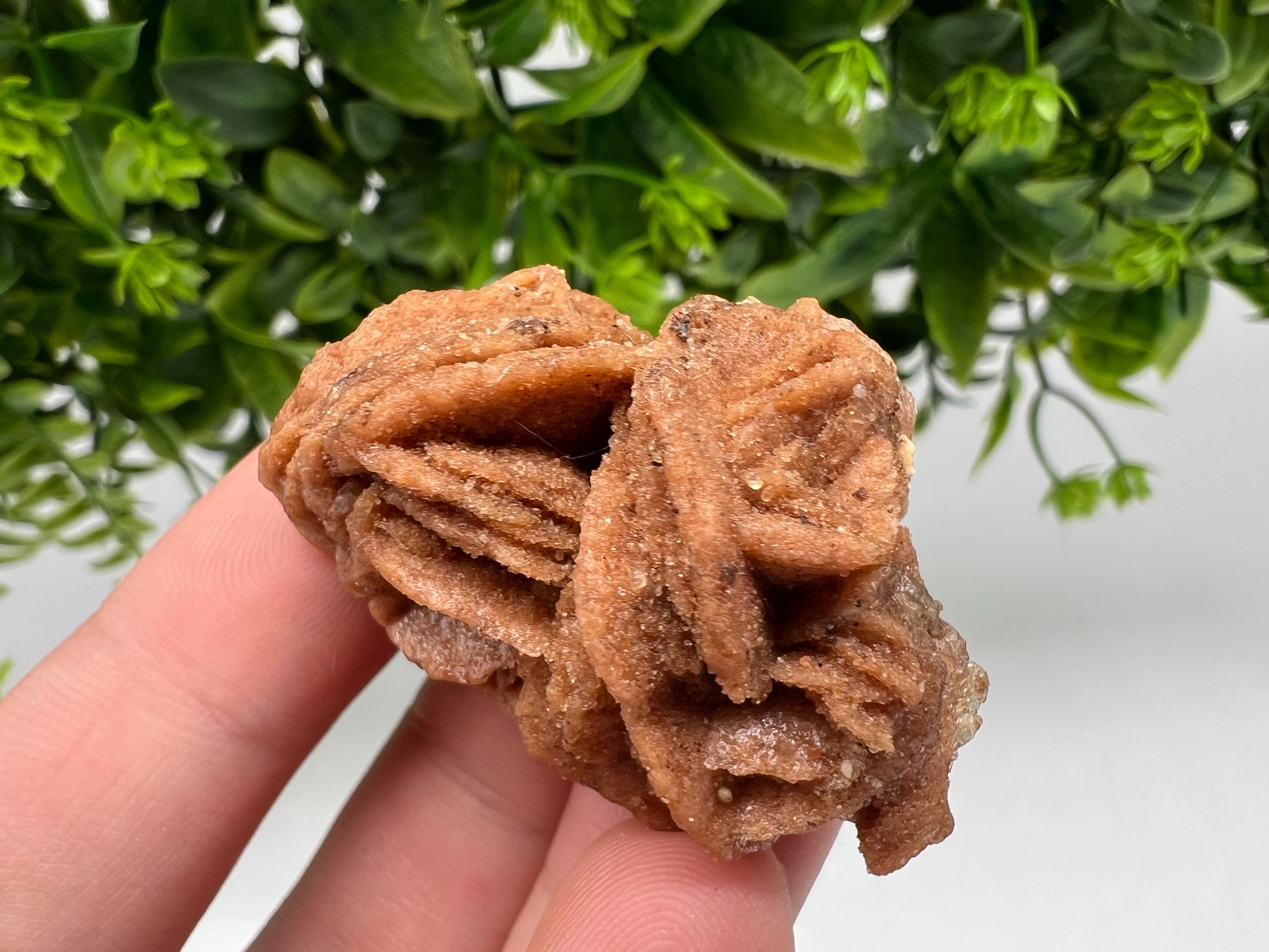 Desert Rose Crystal: Root Chakra Healing Selenite Stone