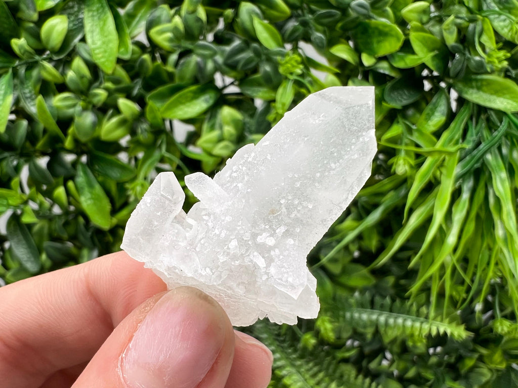 Wonderful Transparent Quartz on Chlorite Matrix,From Borieva mine,Madan,Bulgaria,Quartz,Quartz crystal,mineral specimen,collection quartz