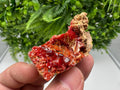 Red Vanadinite on Barite from Marocco,crystal minerals Speciment cluster Vanadinite crystal Vanadinite Geology Vanadinite cluster minerals