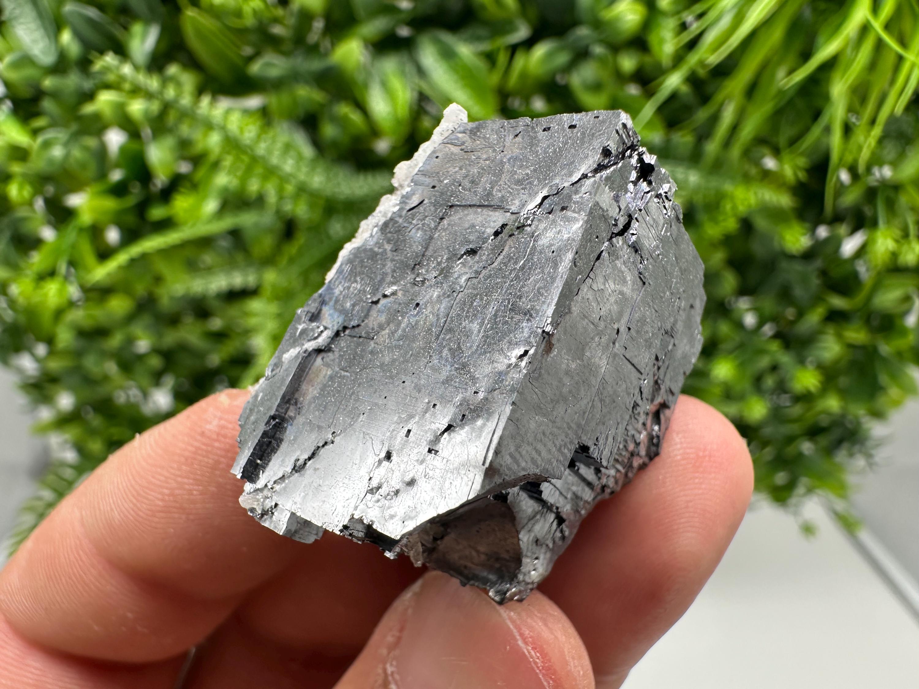 Shiny Galena Cluster, Borieva Mine, Madan Bulgaria