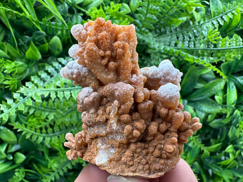 Dimitrovgrad Aragonite Cluster, Bulgaria Crystal Mineral Specimen
