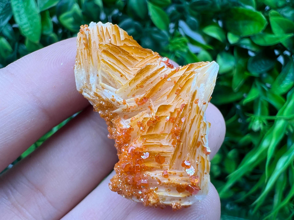 Red Vanadinite on Barite from Marocco,crystal minerals Speciment cluster Vanadinite crystal Vanadinite Geology Vanadinite cluster minerals