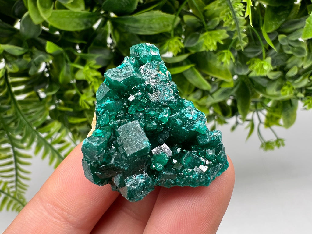Stunning Green Dioptase from Sanda Hills,Mindouli,Pool Department,Mindouli District,Congo,green Dioptase,Dioptas Crystal,Dioptase collecting