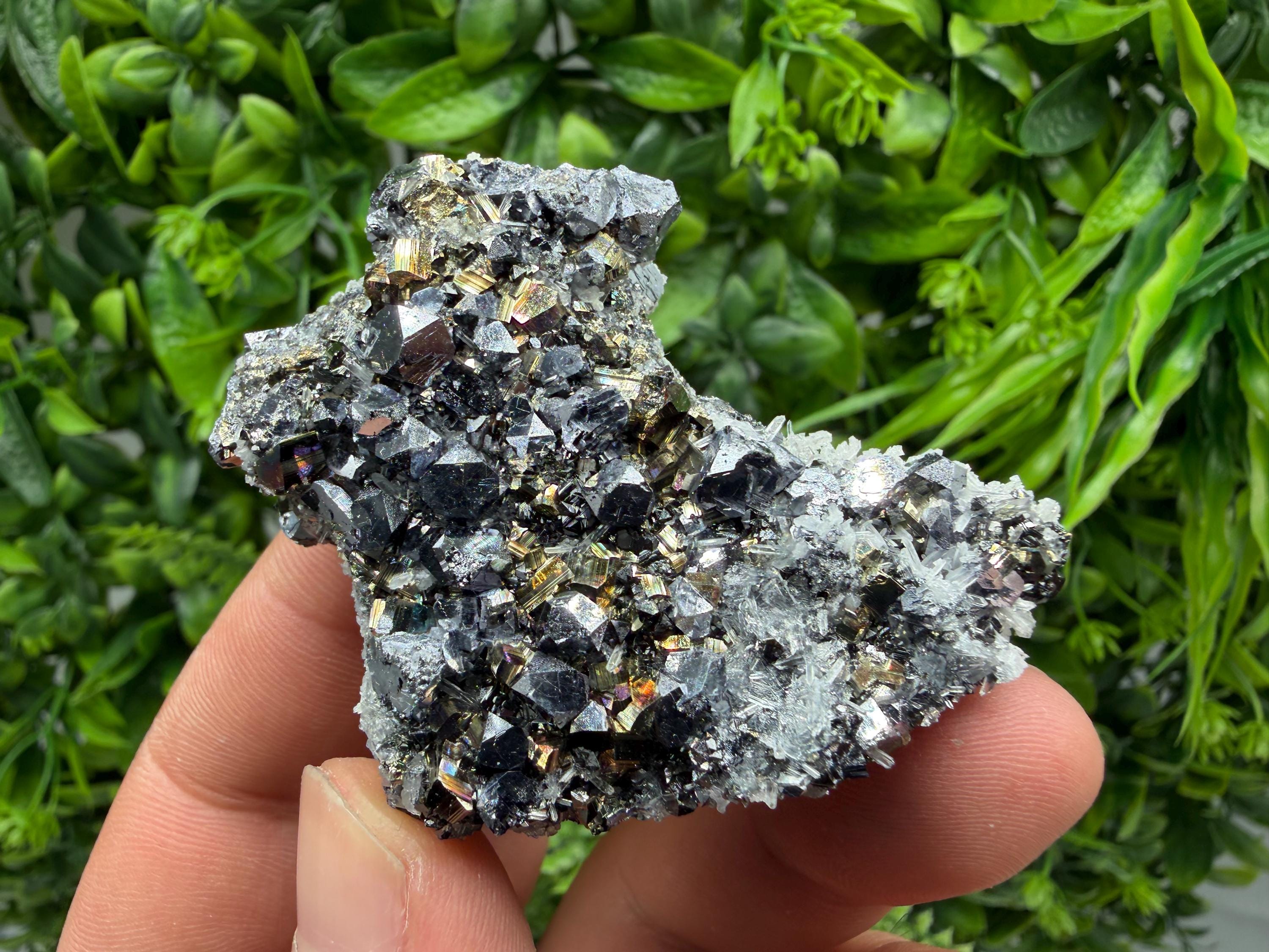 Galena Pyrite Sphalerite Quartz  Mineral Specimen, Krushev dol Mine
