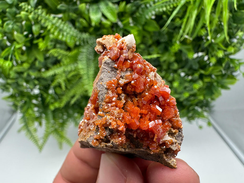 Red Vanadinite on Barite from Marocco,crystal minerals Speciment cluster Vanadinite crystal Vanadinite Geology Vanadinite cluster minerals