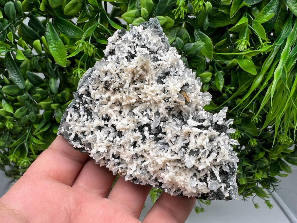 Calcite Quartz on Chlorite Matrix: Borieva Mine, Bulgaria