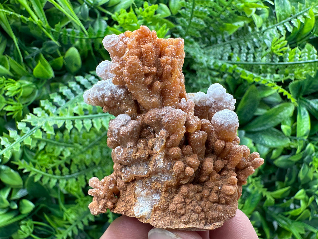 Dimitrovgrad Aragonite Cluster, Bulgaria Crystal Mineral Specimen
