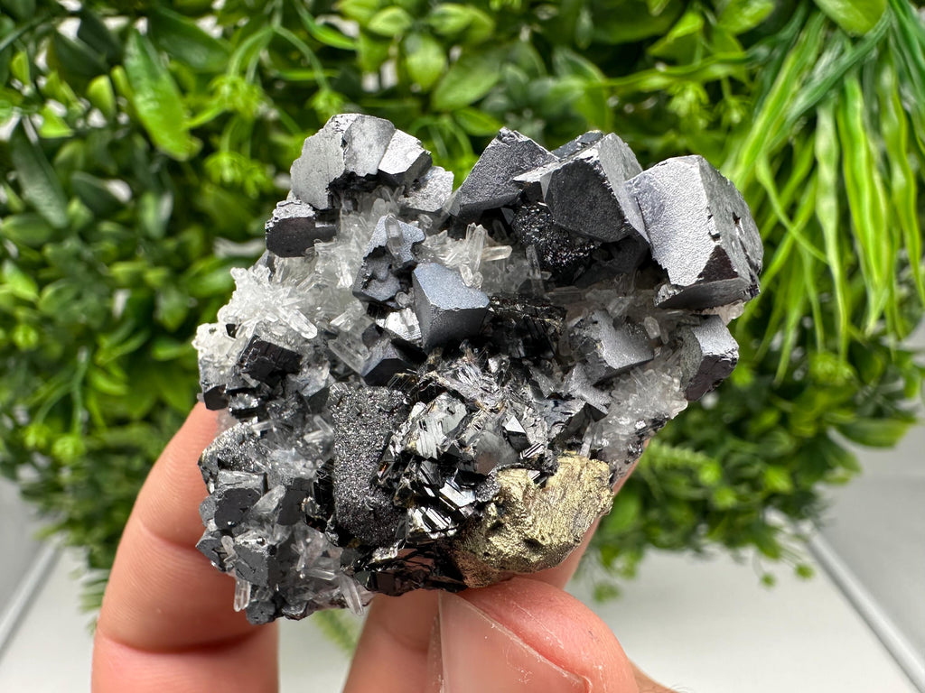 Aesthetic Natural shiny Galena whit Siderite and Quartz from 9 th September mine,Bulgaria,collection specimen,rare galena,Galena cluster
