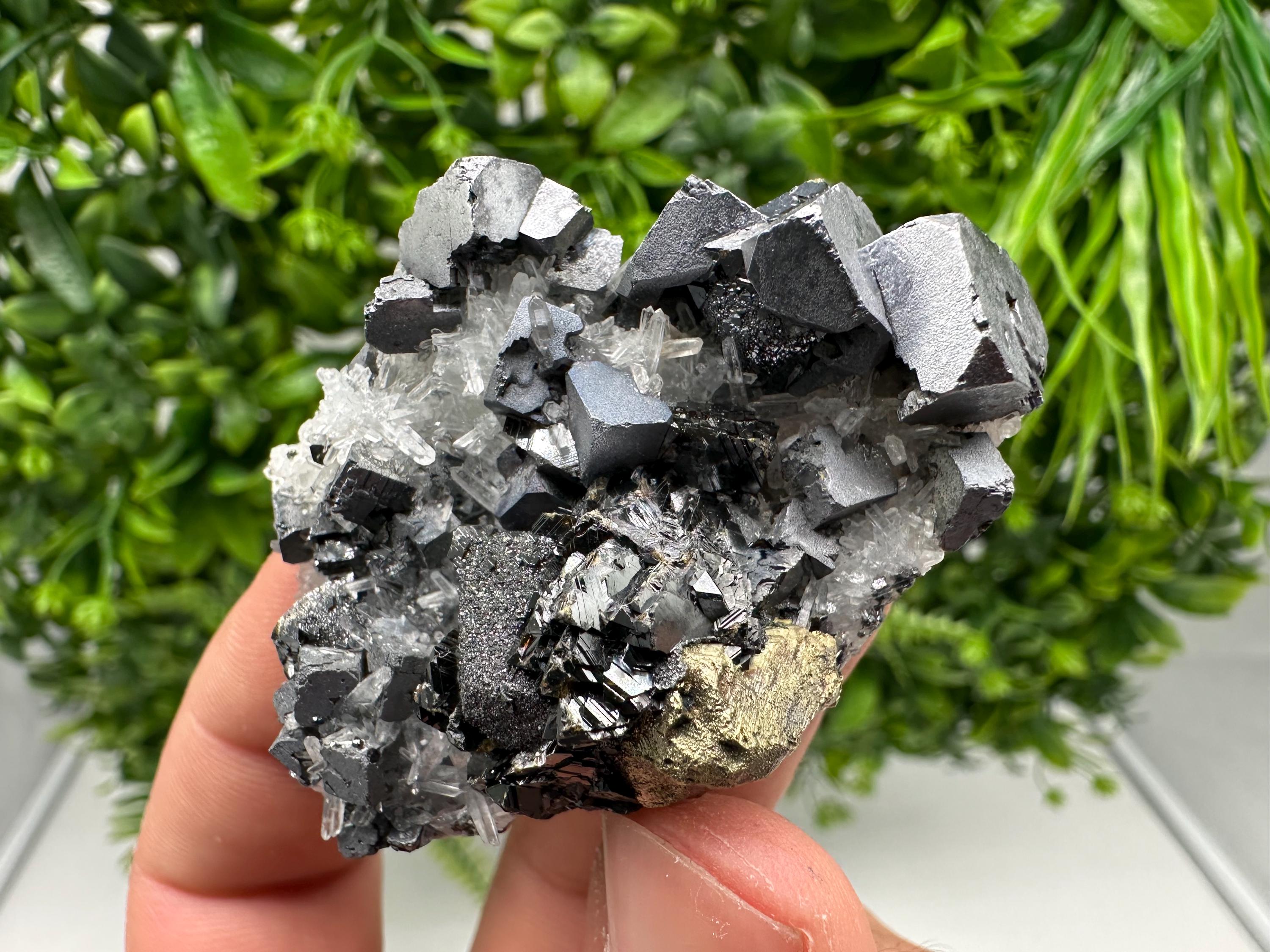 Aesthetic Natural shiny Galena whit Siderite and Quartz from 9 th September mine,Bulgaria,collection specimen,rare galena,Galena cluster