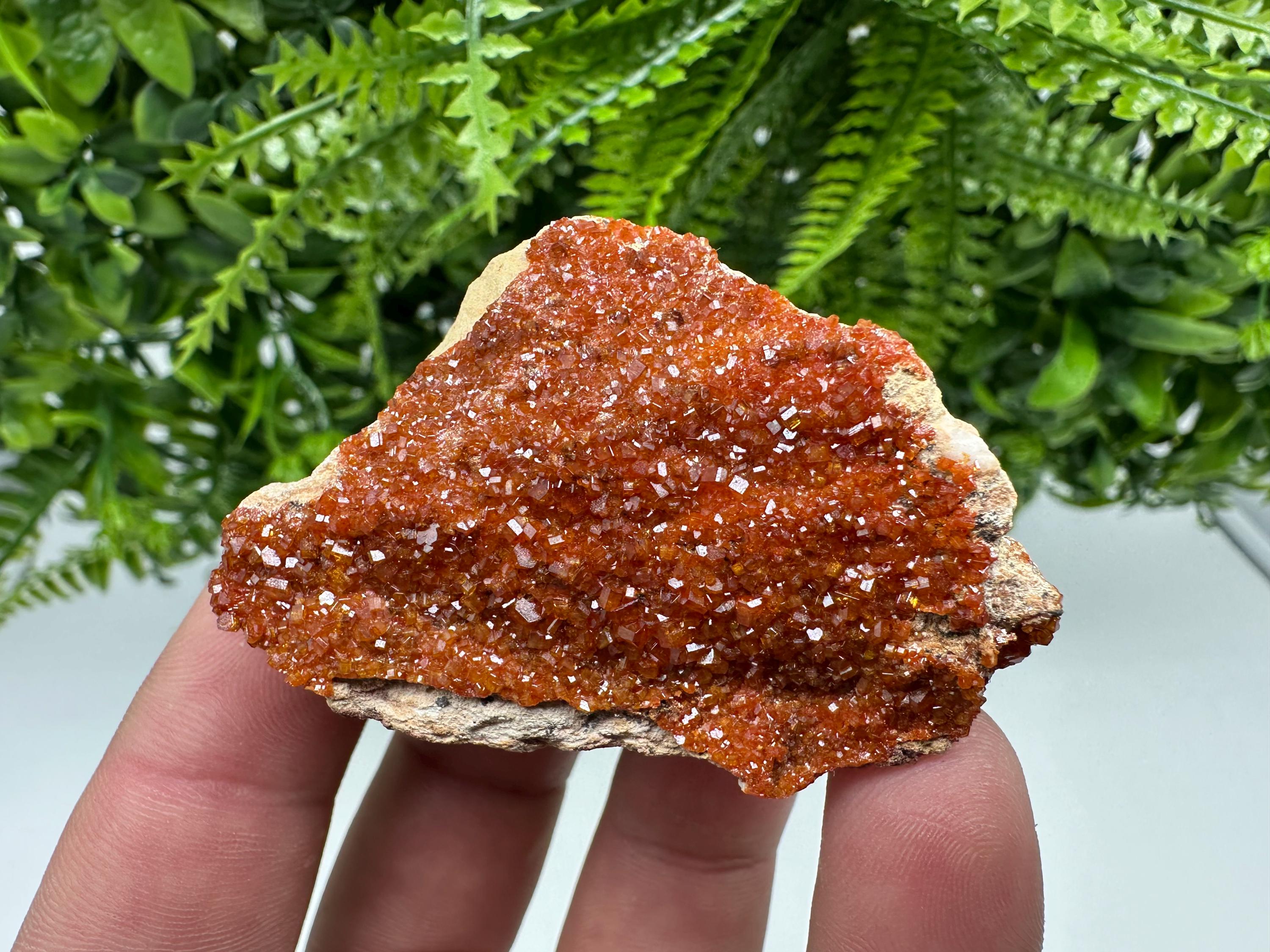 Red Vanadinite Crystal on Barite, Morocco Mineral Specimen
