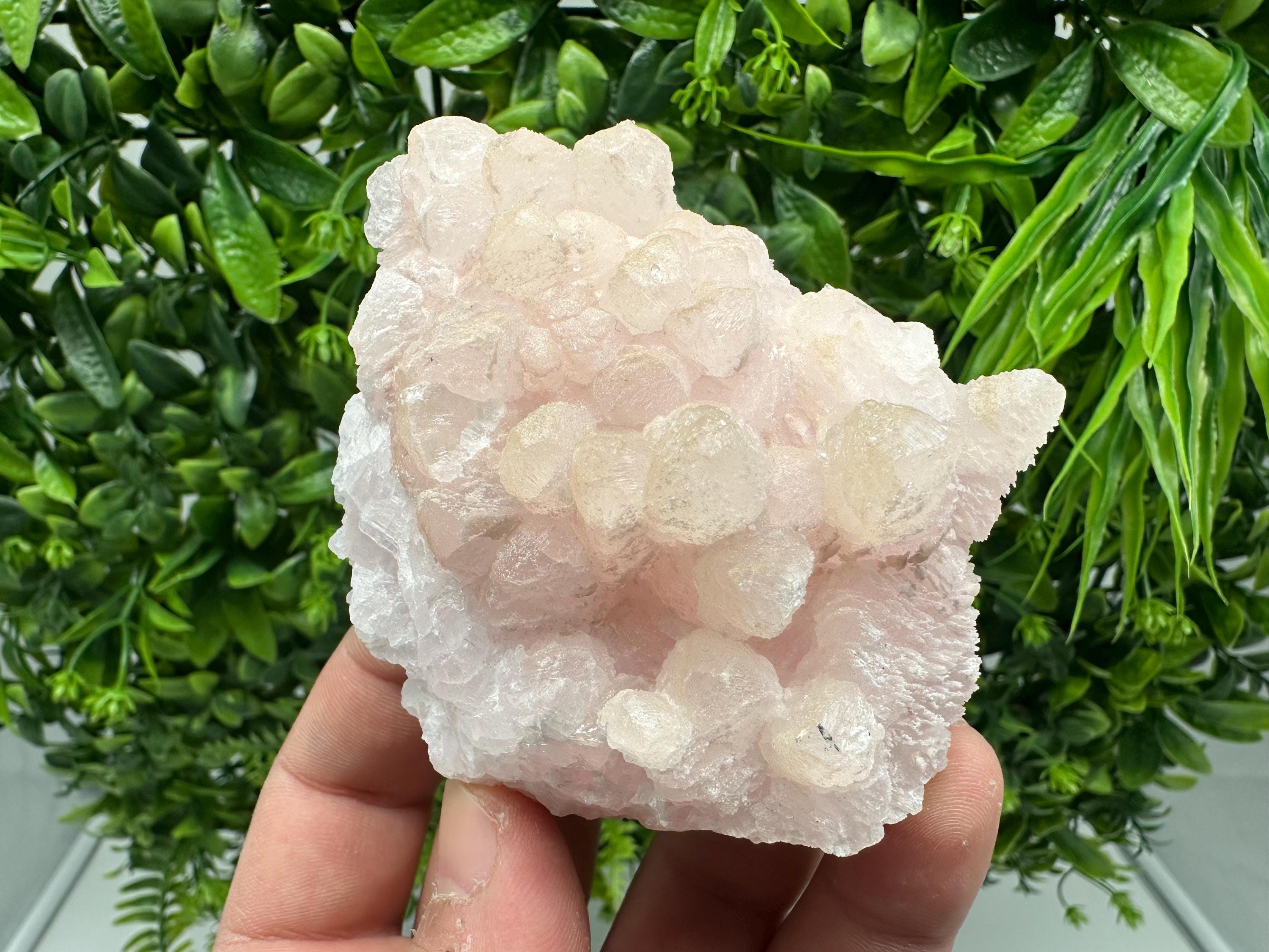 Mangano Calcite with Galena, Borieva Mine, Bulgaria